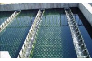 【干貨】生物濾池為什么一受沖擊氨氮去除率就會下降？